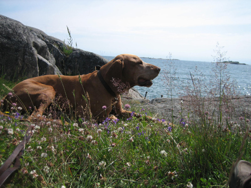 The caf&eacute; of The Four Winds